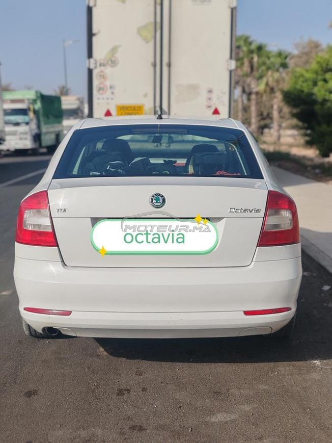 scoda octavia