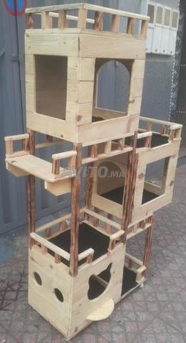 شجرة للقطط - 2