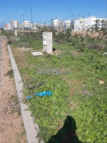 Terrain à vendre 165m2 Allianz Beni yekhlef - 2