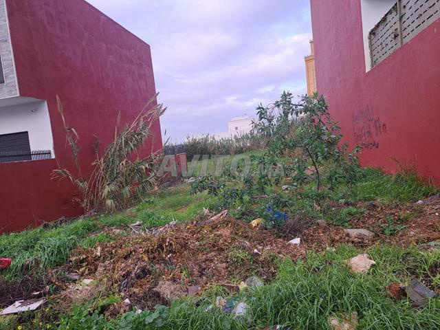 TERRAIN ZONE VILLA AIN ATIQ CALME - 2