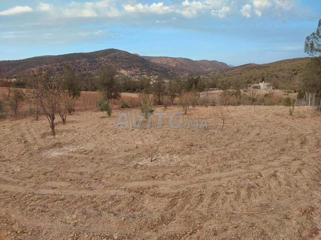 Terre agricole - 2