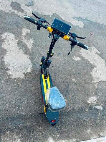 تروتنيت بشكل جميل - 2