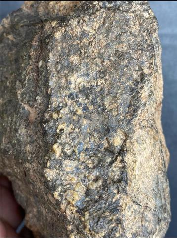Météorite NWA 986 Gr... Belle météorite