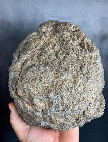 Météorite Achondrite belle
