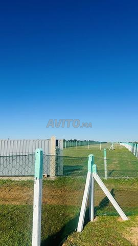 Terrain 5000m² clôturé avec puits, comme la mer, énergie solaire - 2