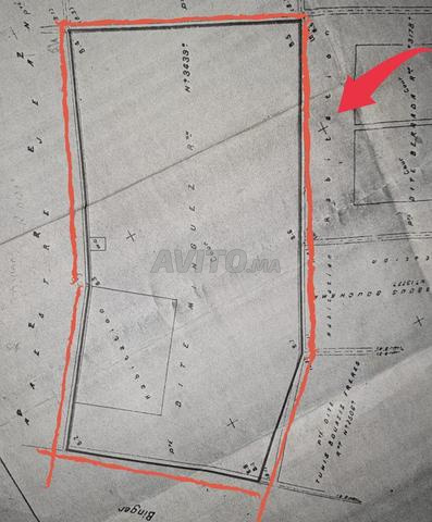 Terrain 800 m2 Centre Ville Oujda R6