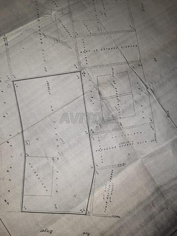 Terrain 800 m2 Centre Ville Oujda R6
