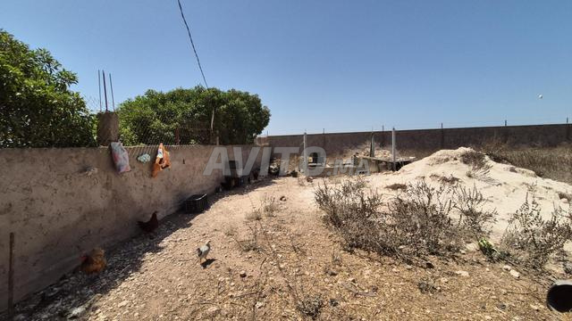 4000 m² enregistrés à El Haouzia - 2