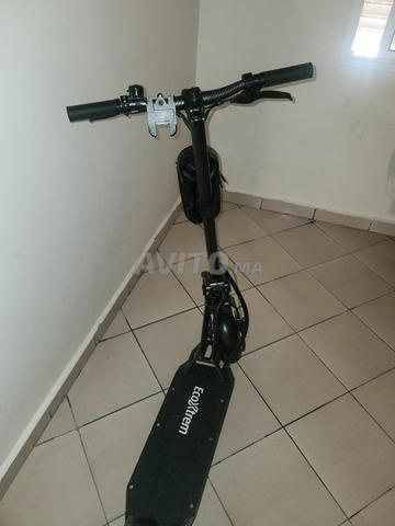 Trotinette électrique Bison 800w - 2