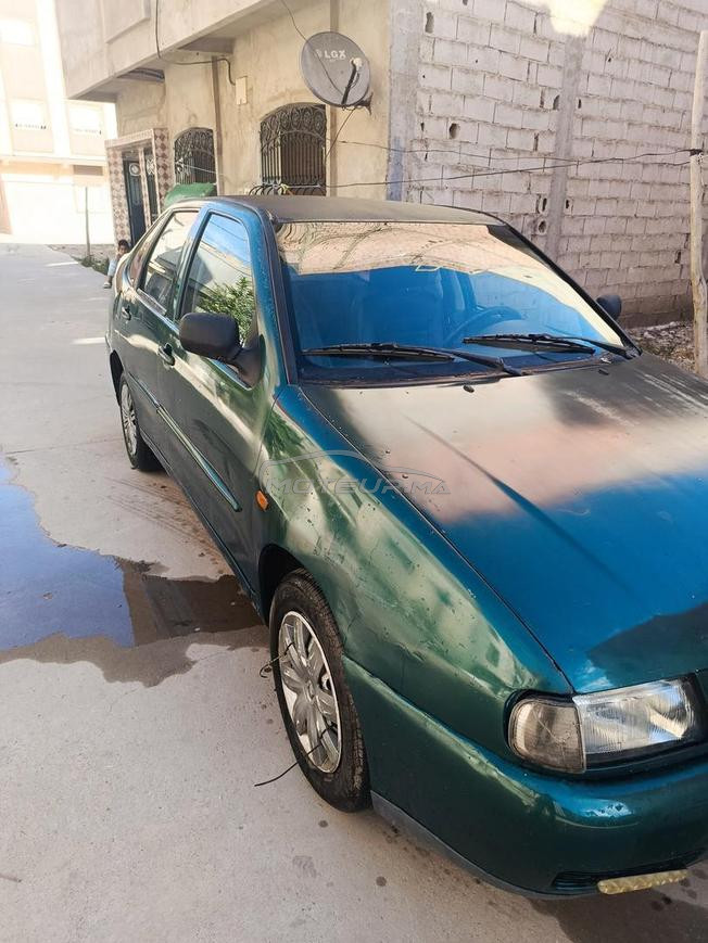 golf polo classiq mazot 2000 