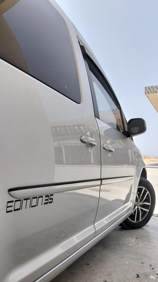 Caddy Edition 35