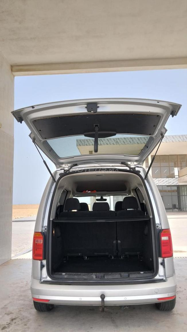 Caddy Edition 35
