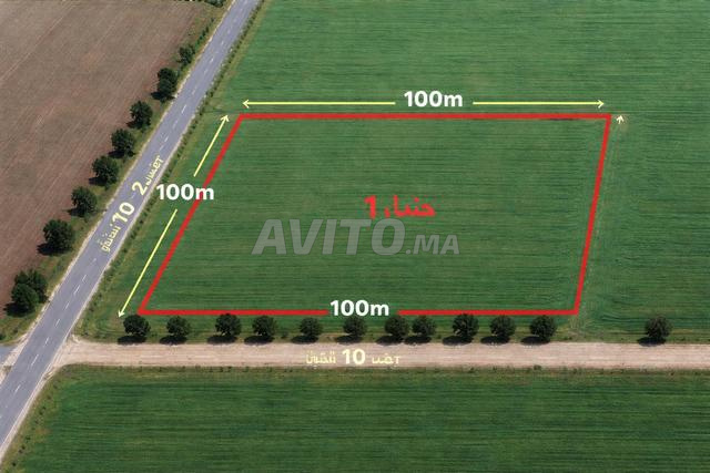 Hectare ou terrain titré à vendre