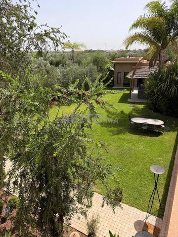 Domaine des Oliviers | Piscine & oliveraie - 2