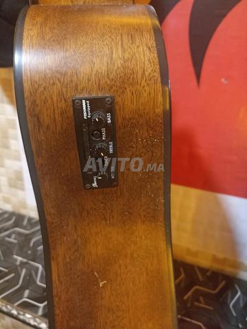 Mandoline professionnelle - 2