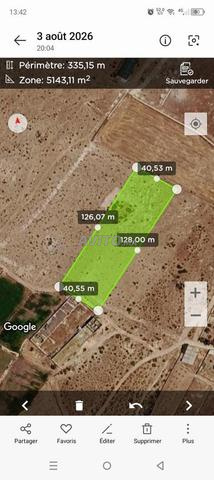 Terrain de 6000 m² à vendre près de Safi