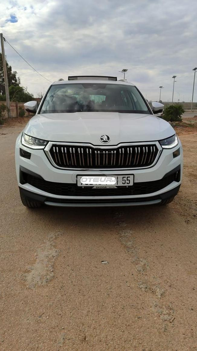 Skoda kodiaq 2023/02 peinture d'origine tt option 