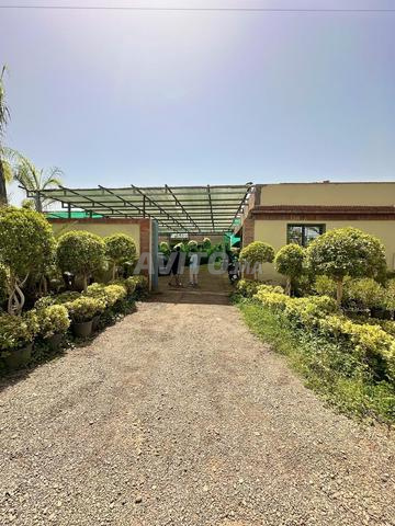 Projet Agricole de 3,4 Hectares Titré plus villa - 2