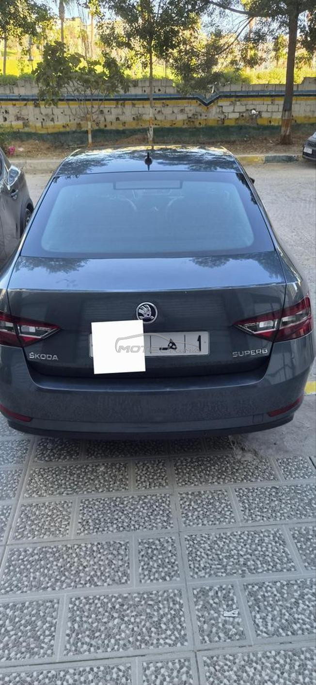 Skoda octavia/superb - Toutes Options -