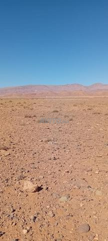 Ait M'aamed Cherkia, Taria 250220 Maroc, Tinghir - 2