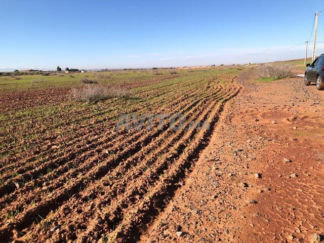 ✨ 4,28 HA d’Exception à 19 km de Marrakech - 2