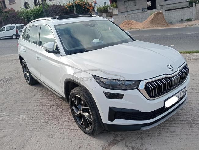 Skoda kodiaq 2023/02 peinture d'origine tt option 