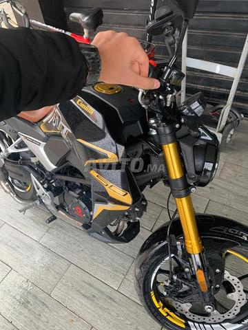 Cimatti MT 05 Modèle 2024 - 2