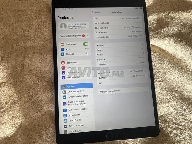Ipad Pro 10.5 Wifi 256 GB Bypass