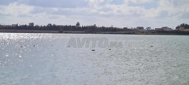 Barrage Sidi Abderrahmane Safi - 2