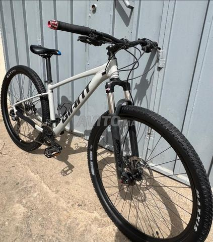 Giant Talon 2022 - 2