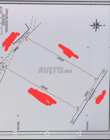 Terrain de 6000 m² à vendre près de Safi - 2