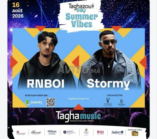 1 Ticket Stormy à vendre catégorie normale