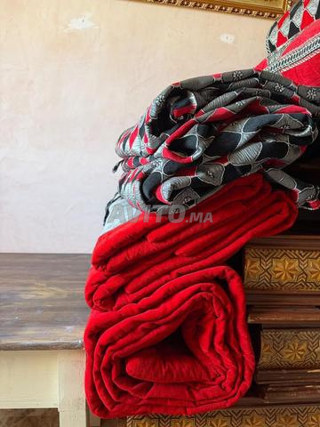 14 coussins plus canapé plus tapis négociable - 2
