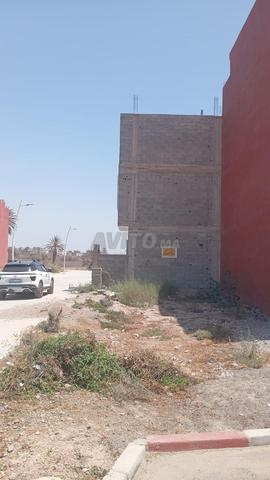 بقعة شوكة فاوتيسمو قريبة المسجد مسجلة ومحفظة - 2