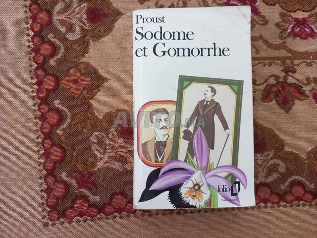 Romans de Marcel Proust texte intégral importé - 2