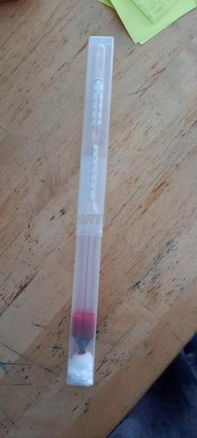 thermo-densimètre en verre - 2