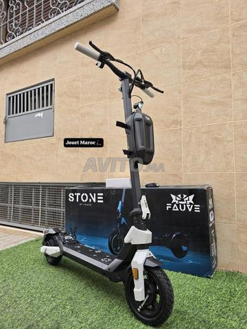 Ecoxtreem G1 Stoon - 2