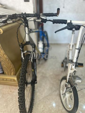 بئر الشفاء - 2