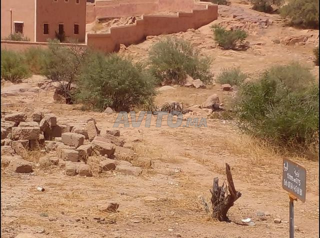 أرض مسجلة للبيع - السعر قابل للتفاوض - 2