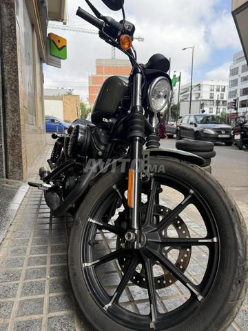 Harley Davidson 883 Iron - 2