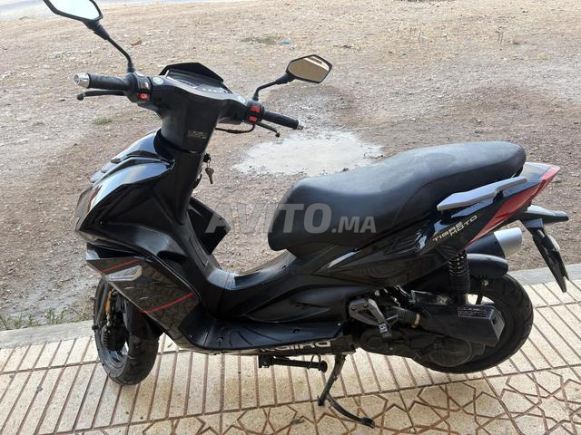 SCOOTER ITALIKA TIGRE MOTO 49cc/ 50cc