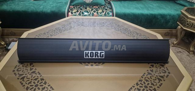 Haut-parleur KORG PaAS pour Korg Pa3X Pa4X Pa5X