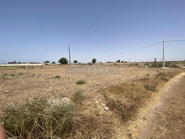 Terrain sur la route à 16 km de El Jadida Oulad Hssain - 2