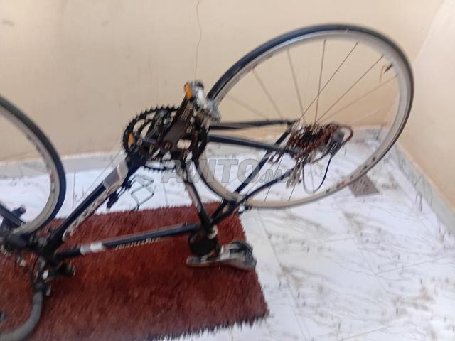 Sidi Ahmed Daoui - 2