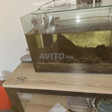 Aquarium à vendre - 2