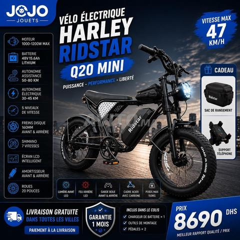 Vélo Électrique Harley RidStar Q20 Mini