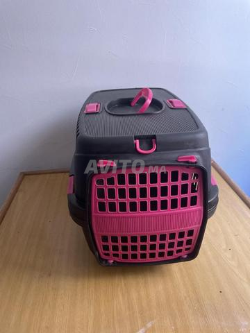 Cage de transport pour chats 🐈 - 2