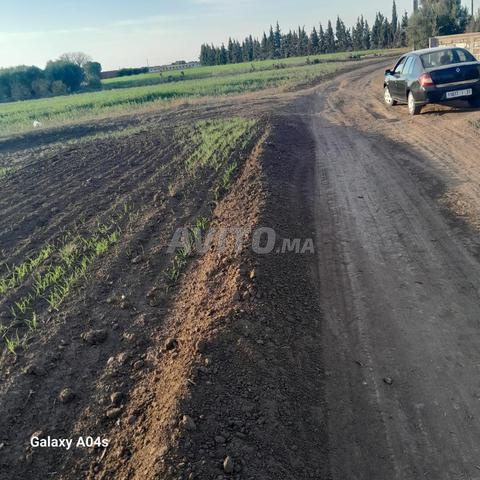 14000 متر مربع أرض فلاحية لضيعة - 2