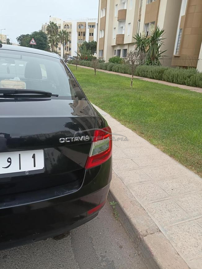 skoda  octavia
