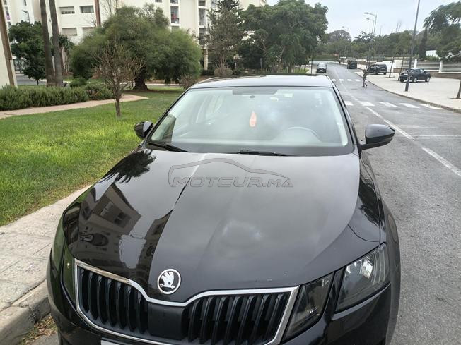 skoda  octavia